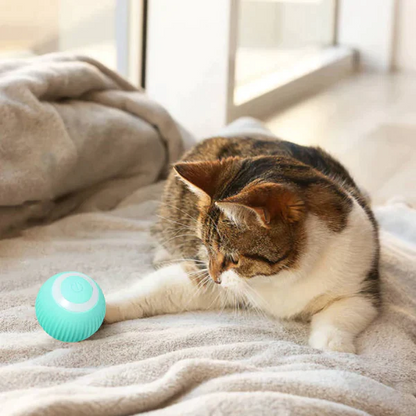 PurrPlaysphere - Smart Moving Cat Toy ---