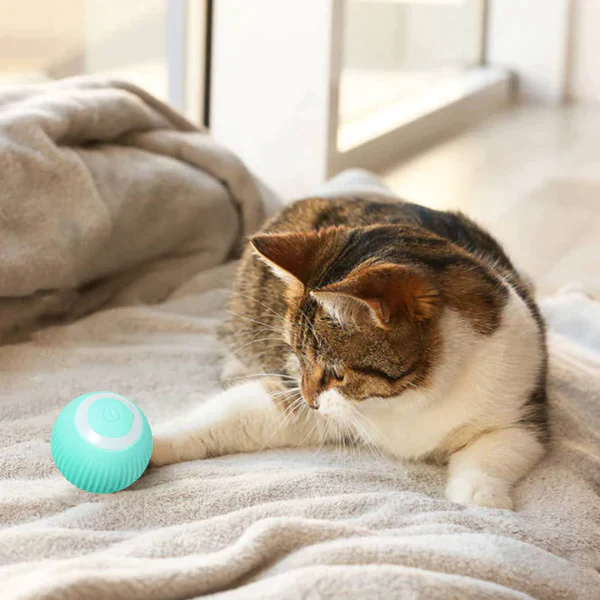 PurrPlaysphere - Smart Moving Cat Toy --