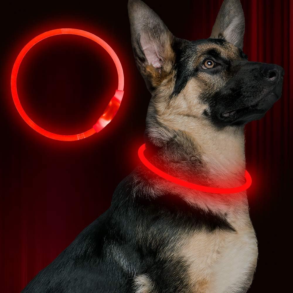 BrightBark™ - Rechargeable LED Dog Collar