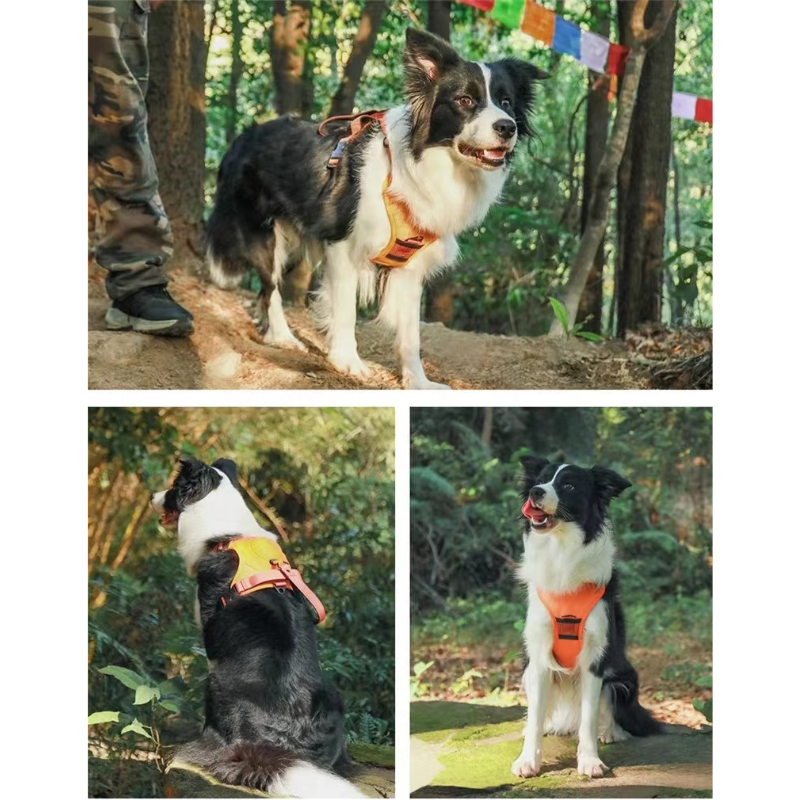 2-in-1 No Pull Dog Harness & Leash