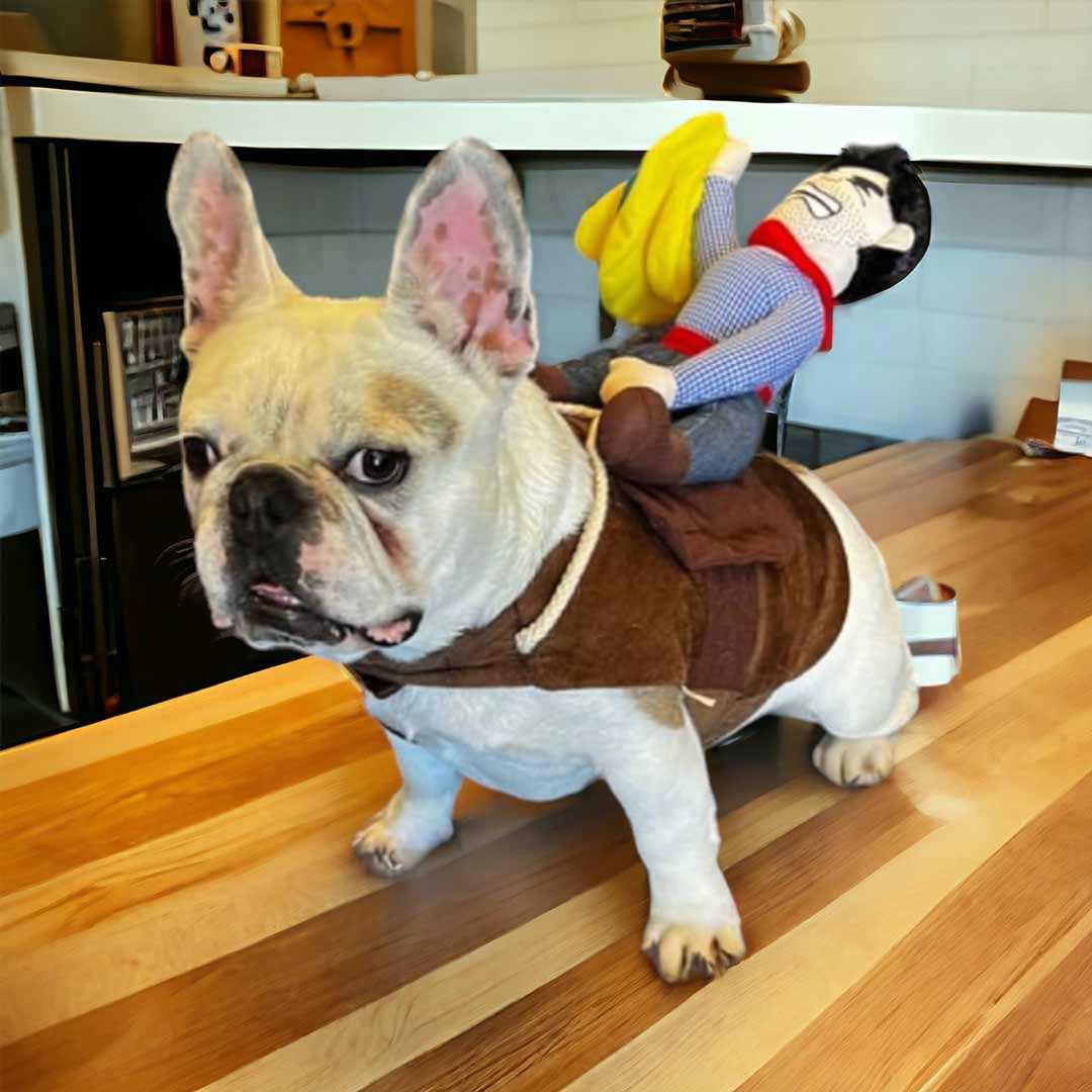 Monster Mash™ - Funny Pet Costumes