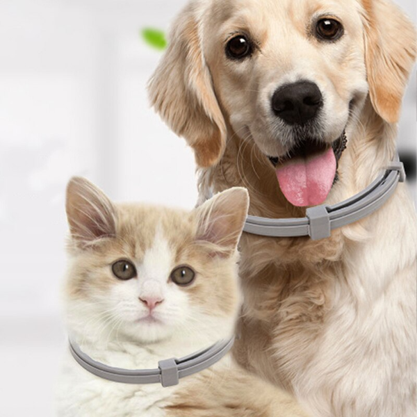 Anti-Flea and Tick Collar