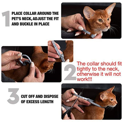 Anti-Flea and Tick Collar